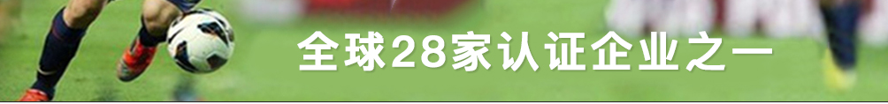 人造草坪 FIFA 会员企业